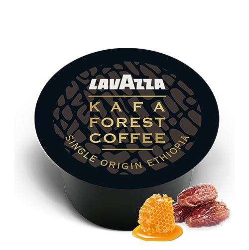 Kafa_500x500.png