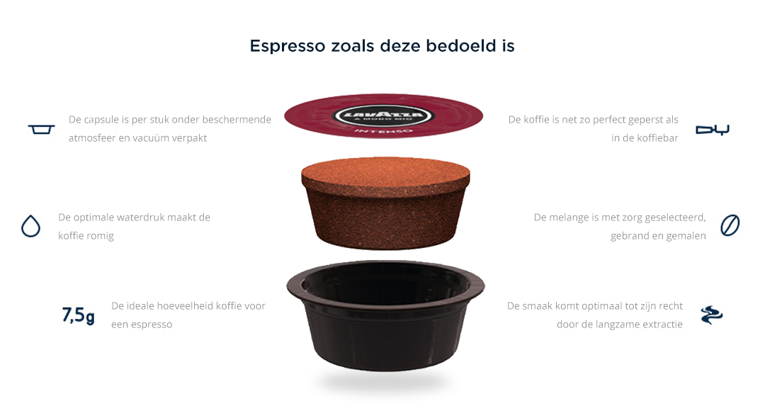 amm-intenso-desktop.png