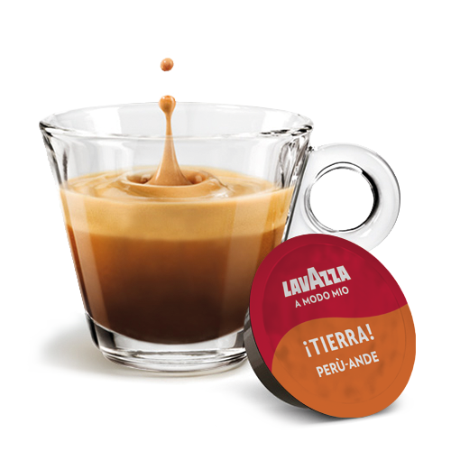 cup-peru-ande.png