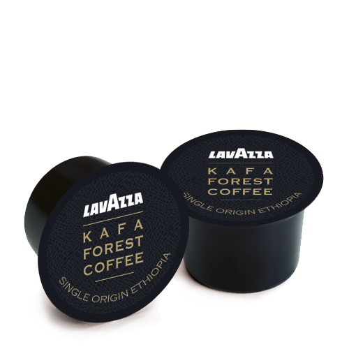 kafa2.png