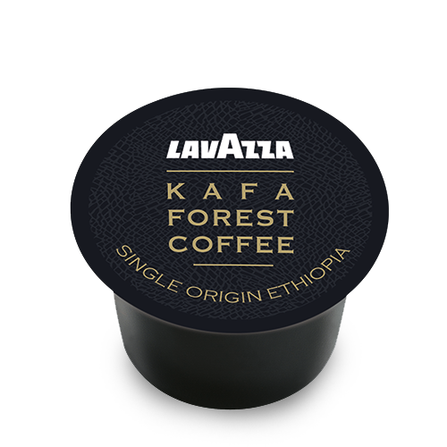 kafa-single2.png